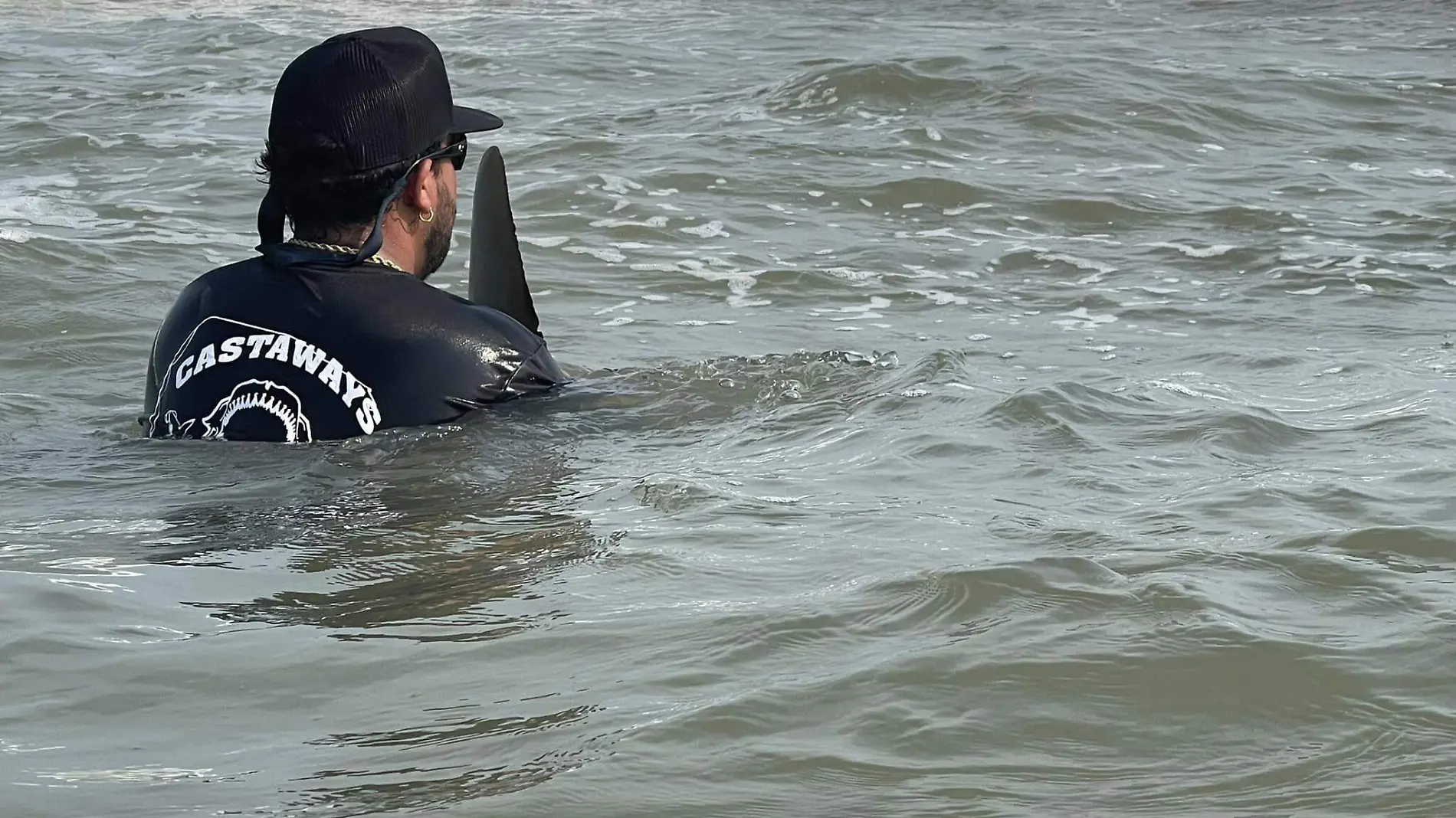 Capturan en Isla del Padre a tiburón martillo